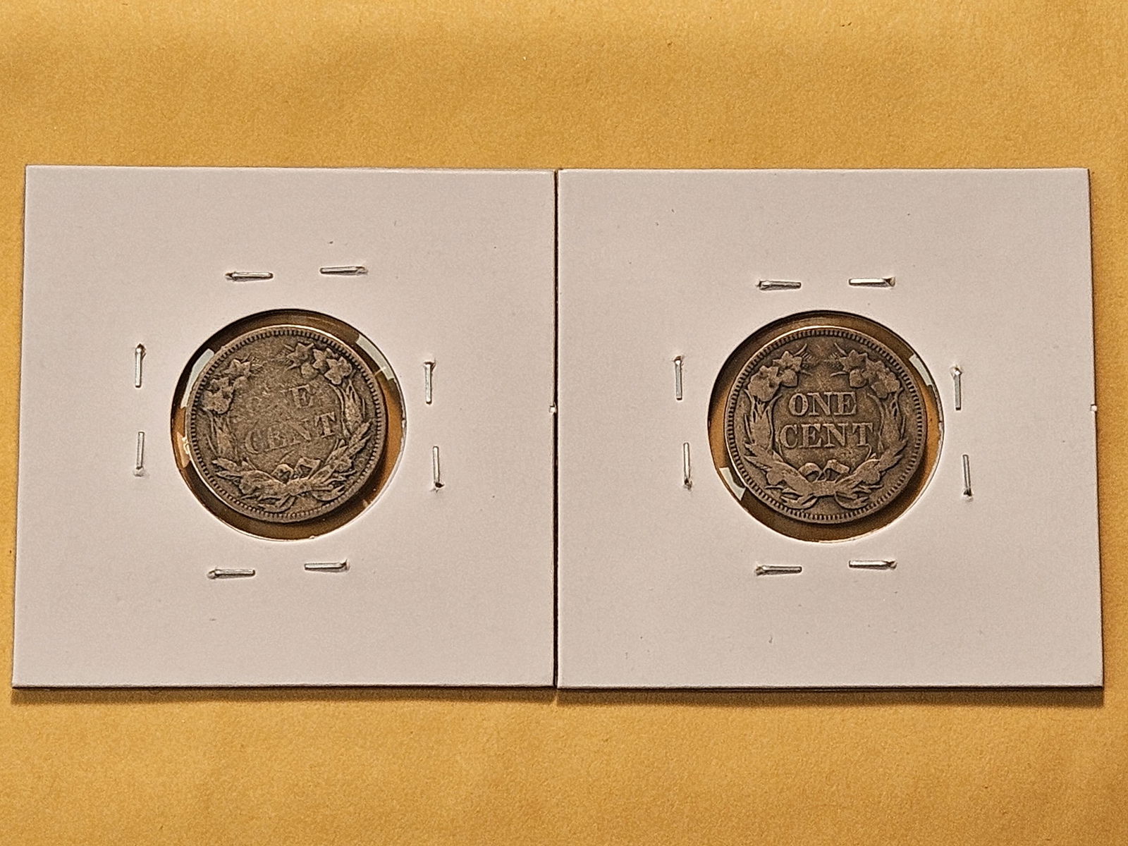 Two Flying Eagle Cents - 4