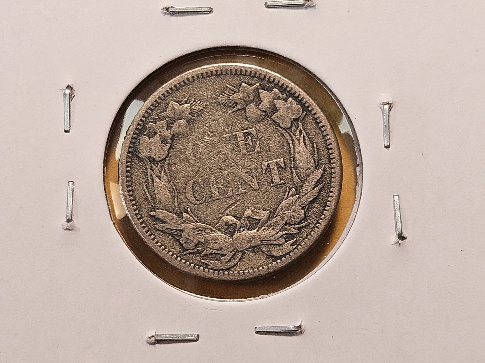 Two Flying Eagle Cents - 5