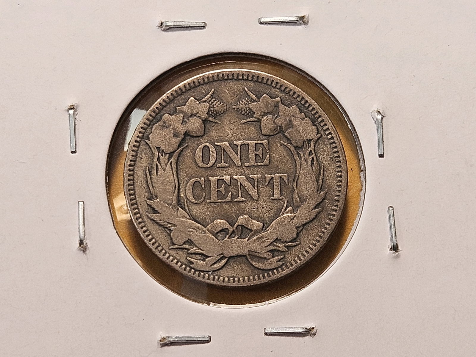 Two Flying Eagle Cents - 6