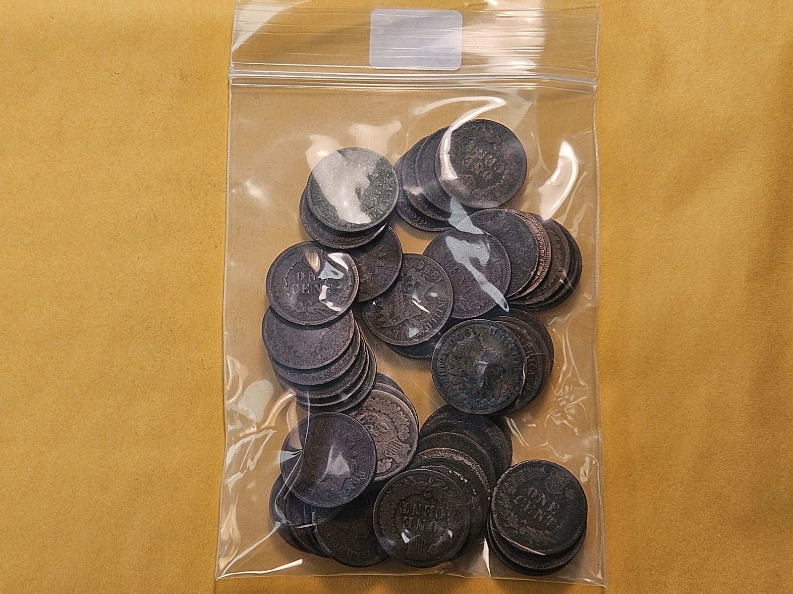 Forty-five Mixed Indian Head Cents - 4