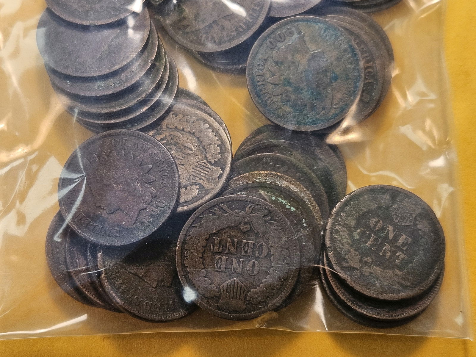 Forty-five Mixed Indian Head Cents - 6