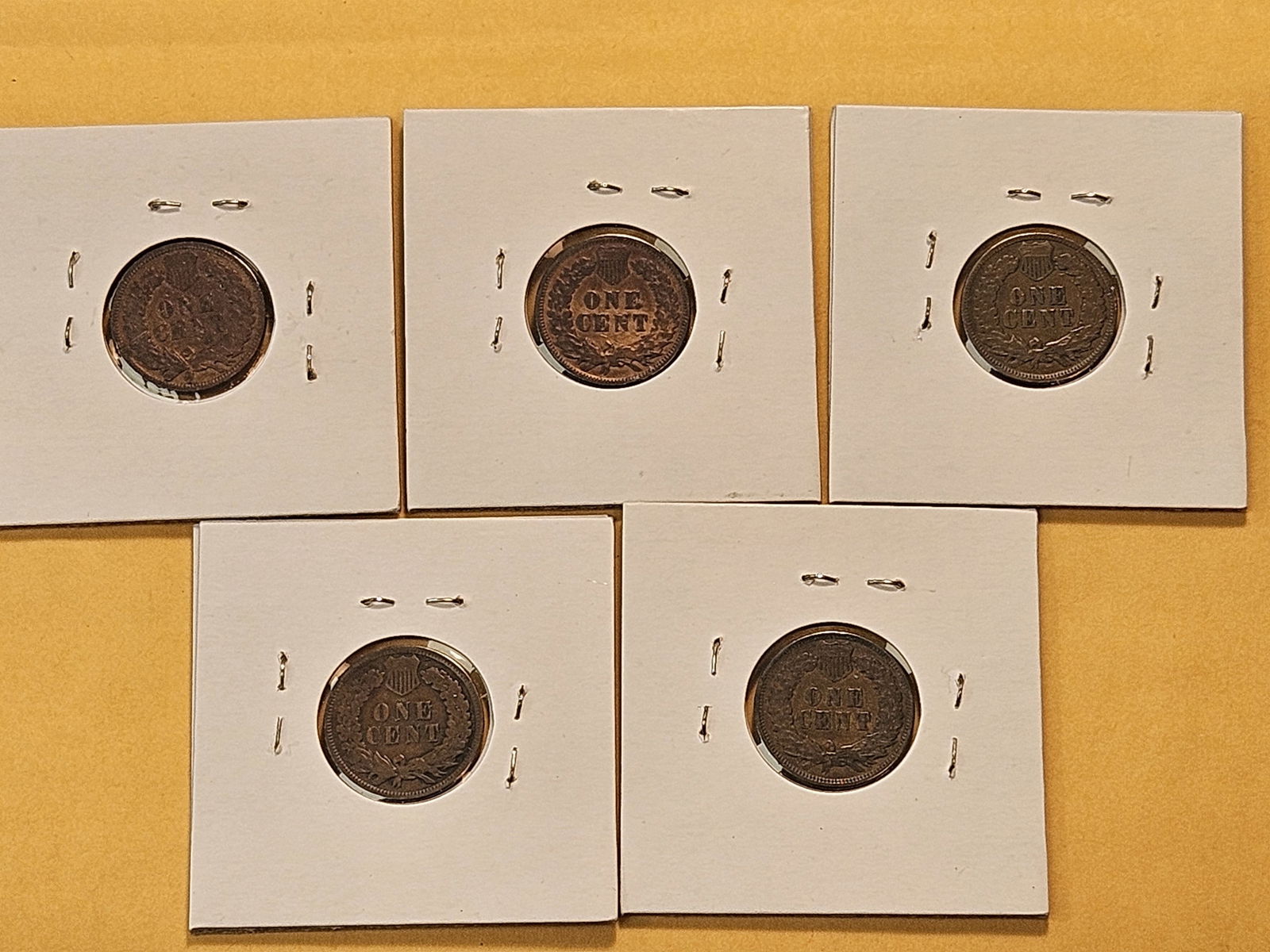 Five Circulated Indian Head Cents - 7