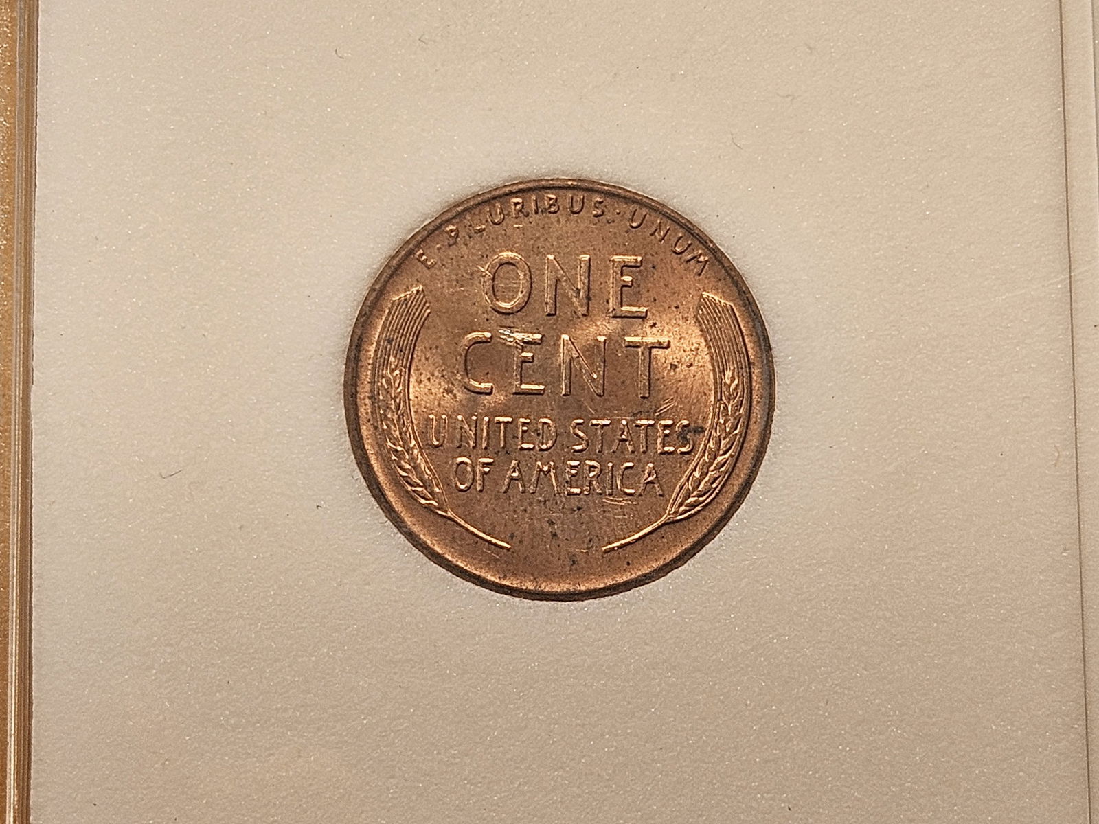 1958-D Wheat Cent with 2007 and 2007-D Lincoln Cents - 6