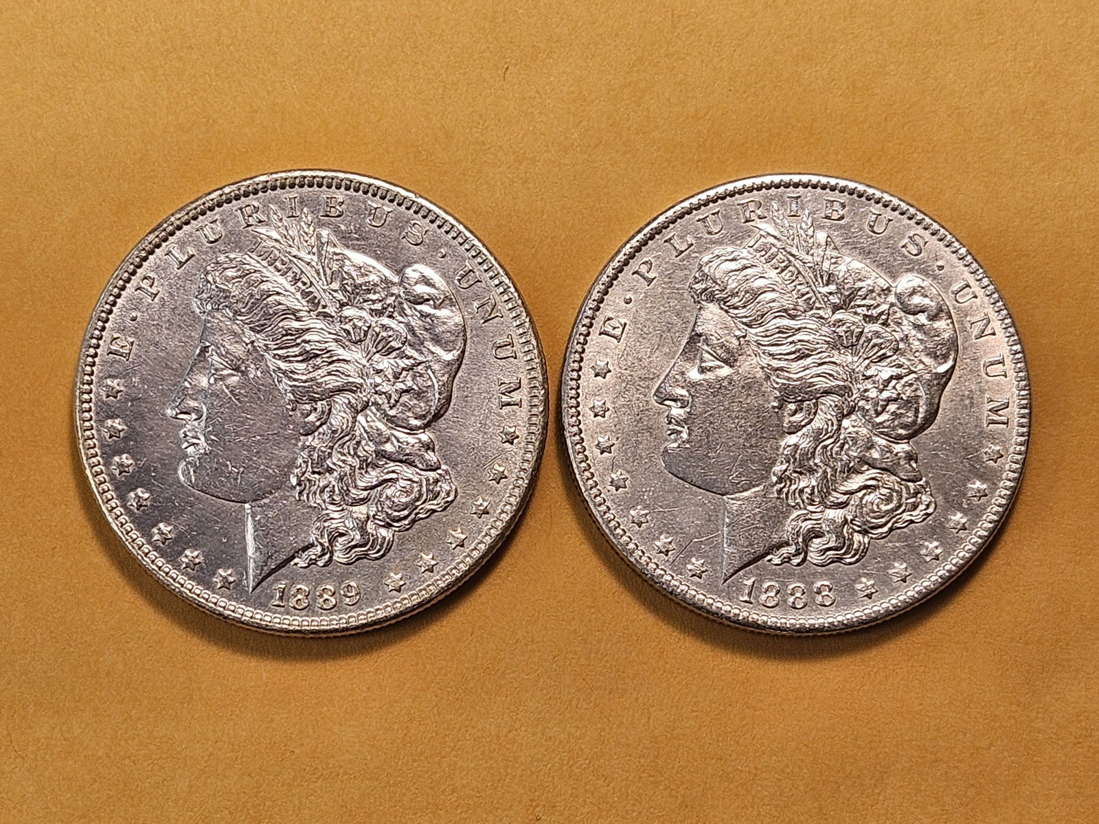 Two About Uncirculated Morgan Silver Dollars - 2
