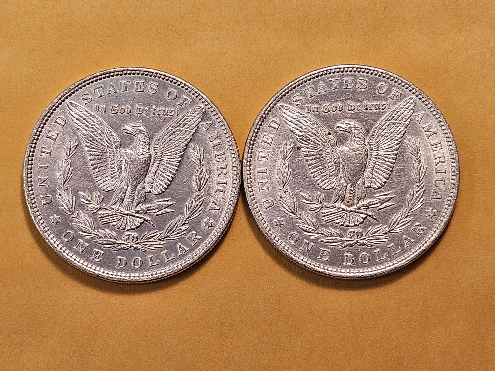 Two About Uncirculated Morgan Silver Dollars - 4