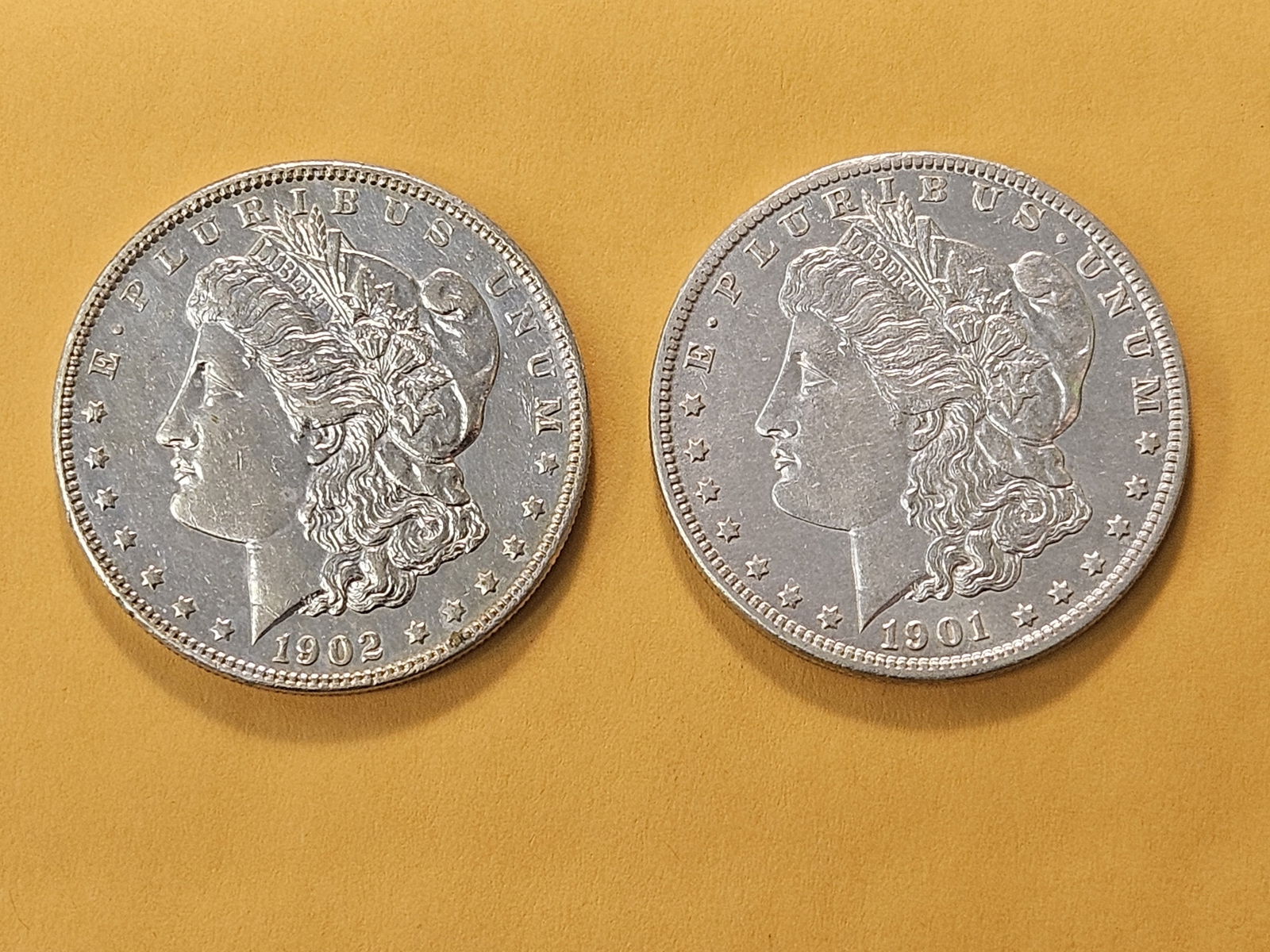 Two About Uncirculated Morgan Silver Dollars - 2