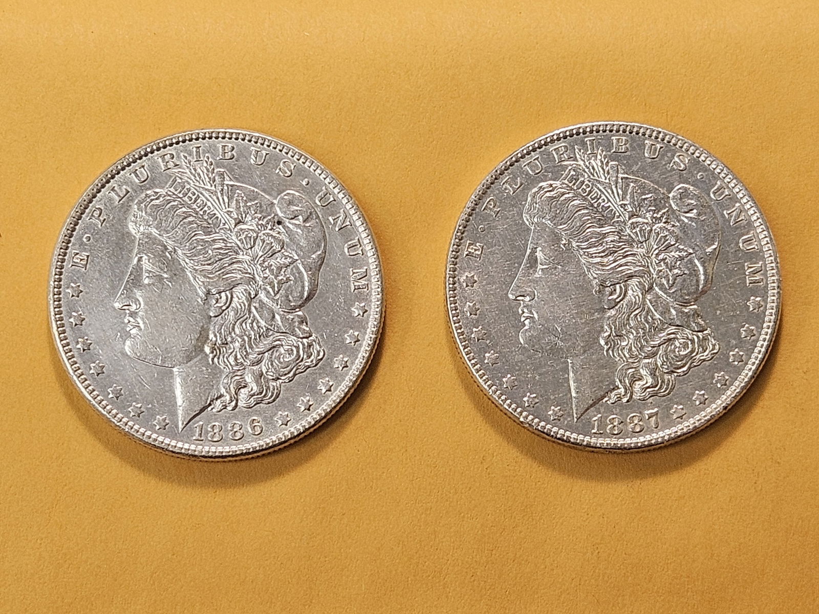 Two About Uncirculated Morgan Silver Dollars - 2