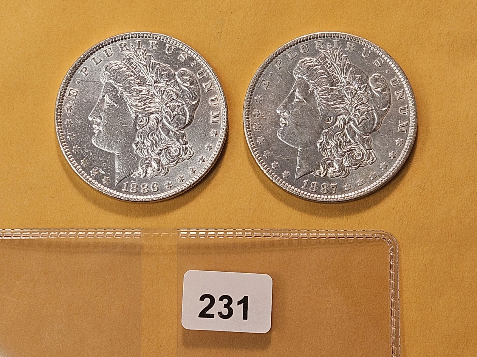 Two About Uncirculated Morgan Silver Dollars (1 of 4)