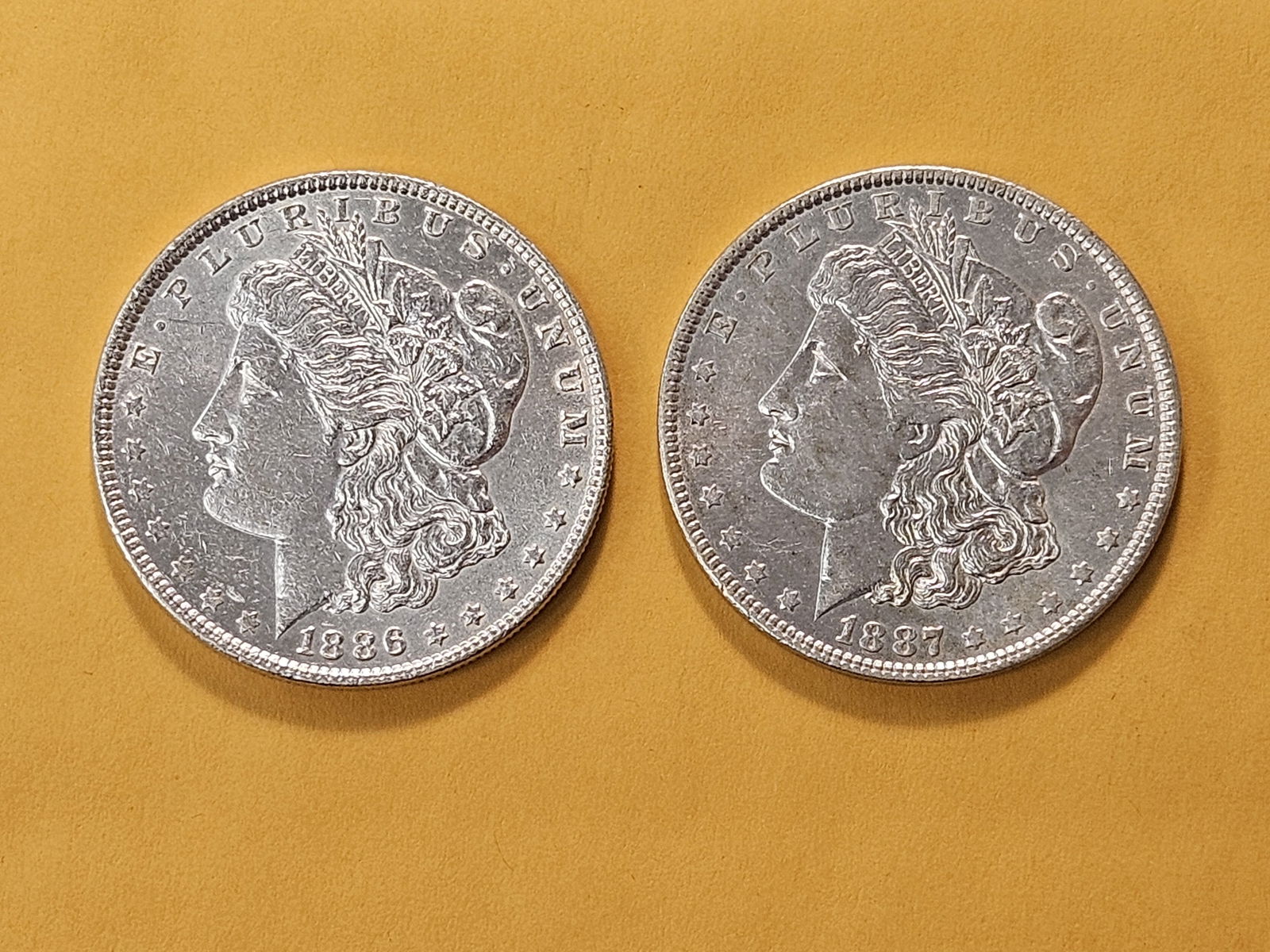Two About Uncirculated Morgan Silver Dollars - 2
