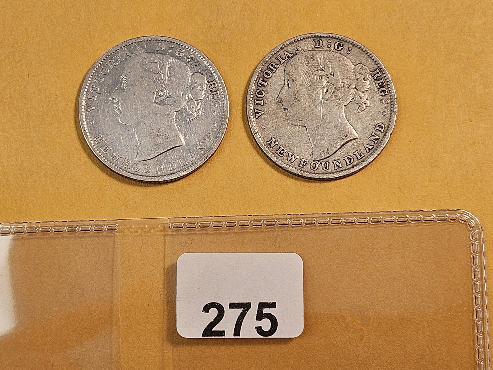 Two New Foundland Twenty Cent Pieces: 1894 and 1896 
