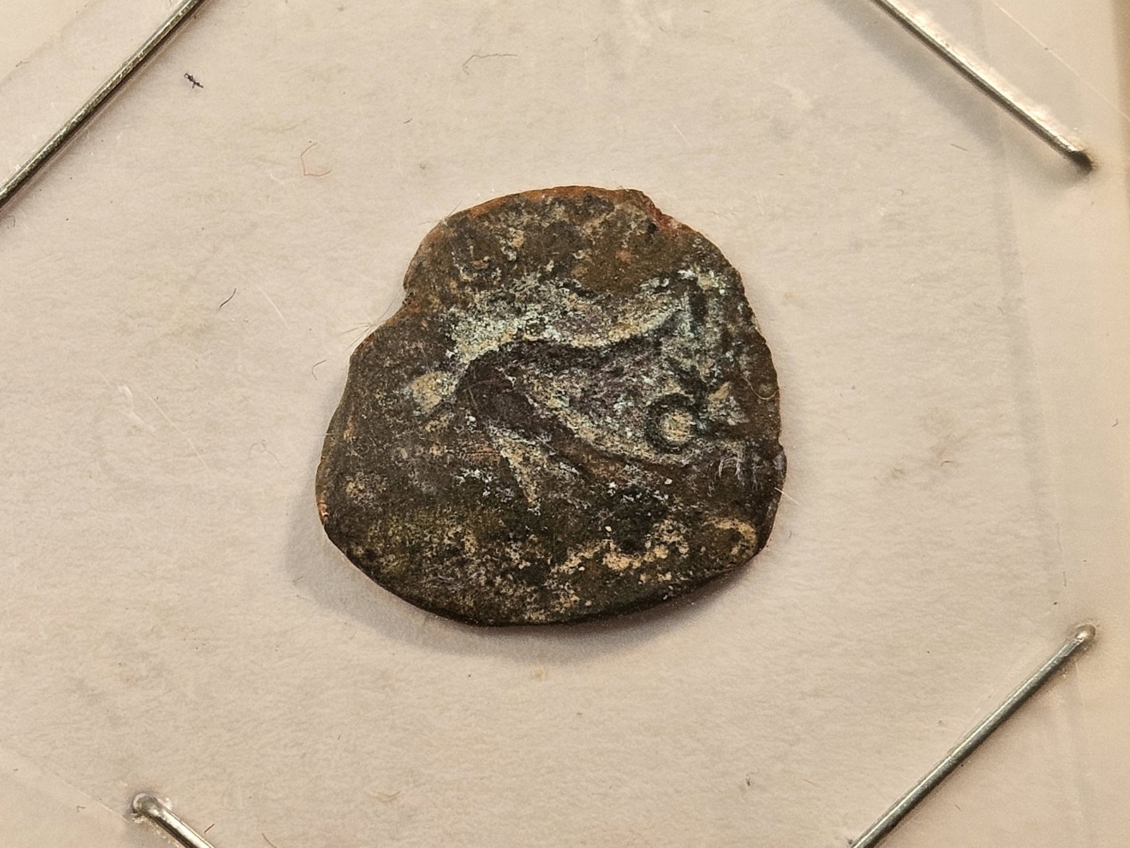 BIBLICAL! 103-76 B.C. Jewish Lipton from Judea (1 of 3)