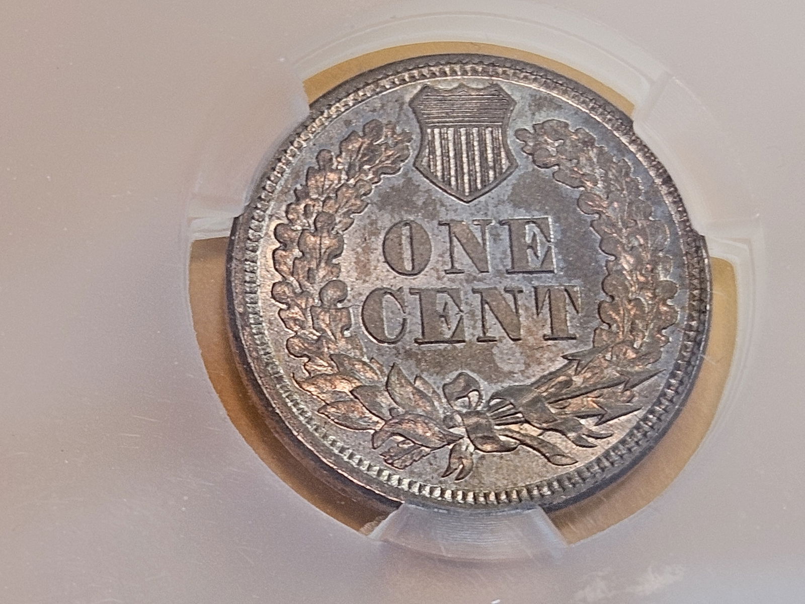 * Better Date * CACG 1860 Round Bust Copper-Nickel Indian Cent in Mint State 64 - 7