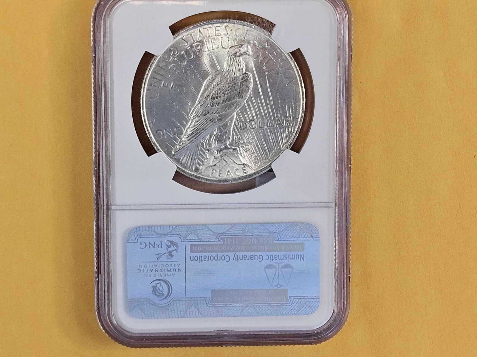 NGC 1923 Peace silver Dollar in Mint State 63 - 3