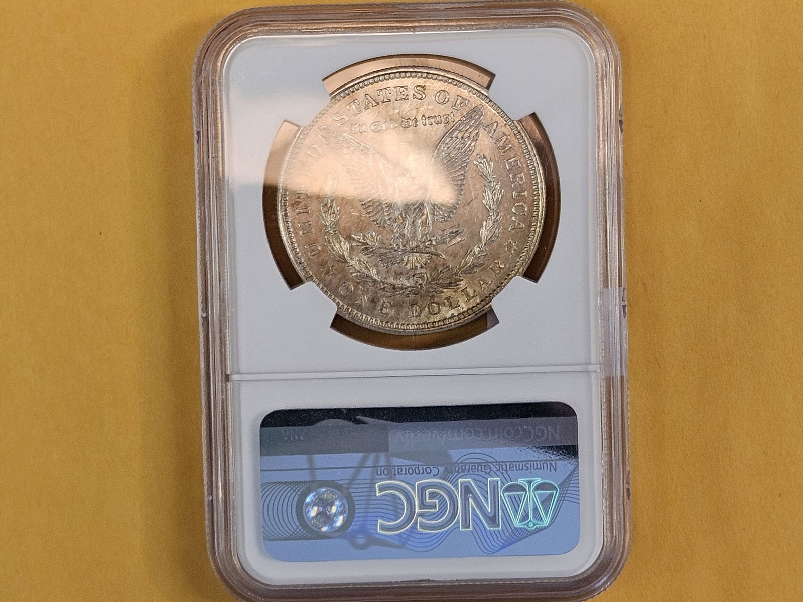 NGC 1921 Morgan Dollar - 3