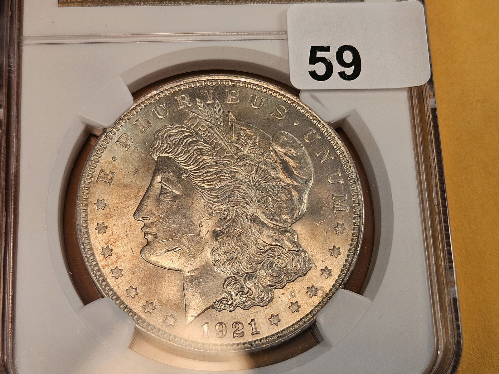 NGC 1921 Morgan Dollar in Mint State 63 - 3