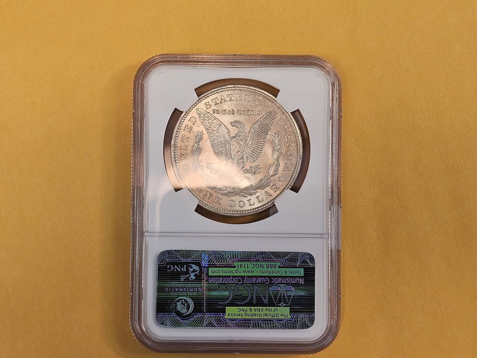 NGC 1921 Morgan Dollar in Mint State 63 - 4