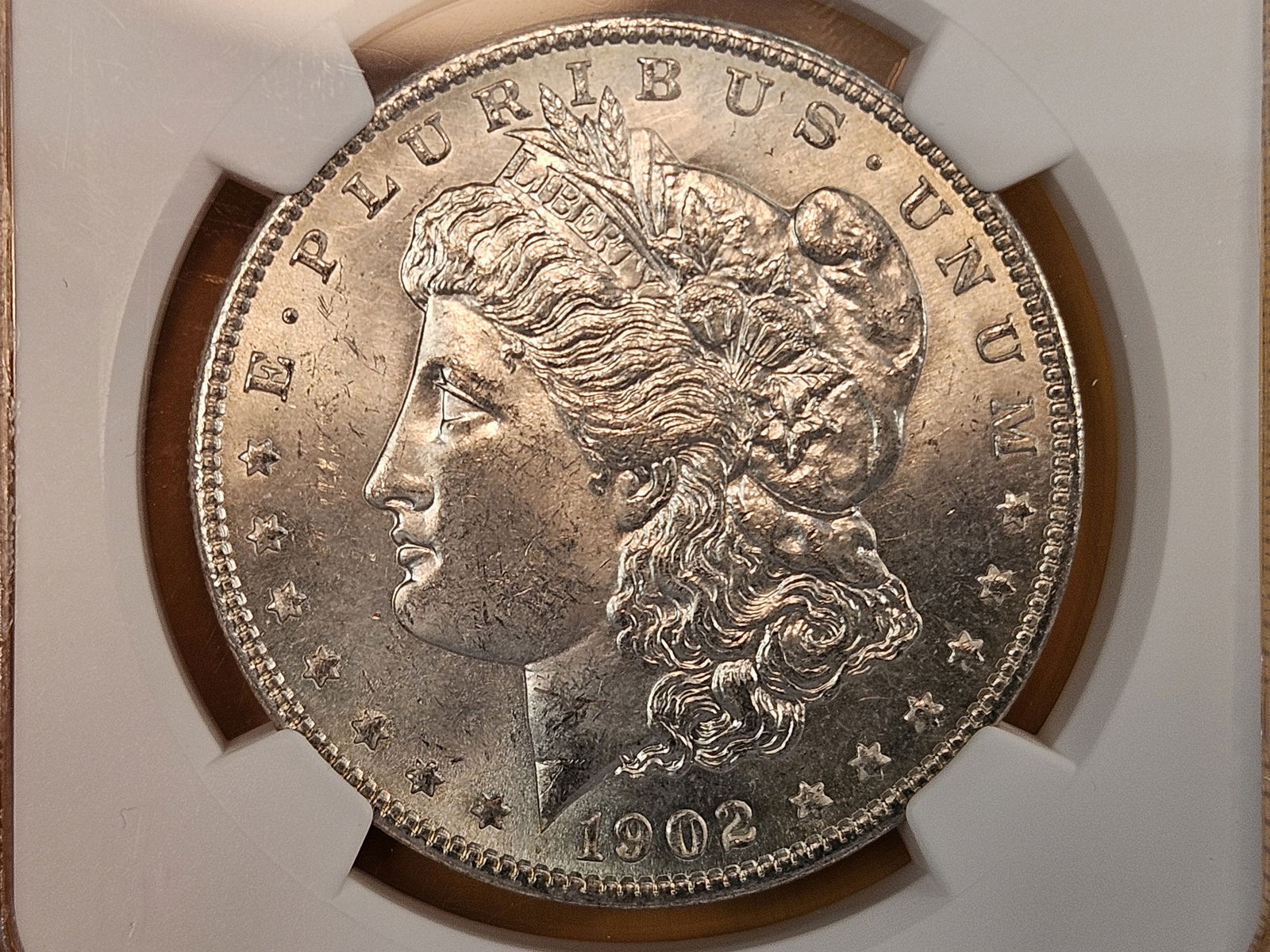 NGC 1902-O Morgan Dollar in Mint State 63: Very light tone 