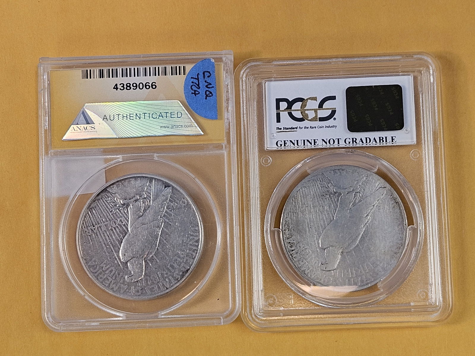 PCGS and ANACS-graded Peace Silver Dollars - 2