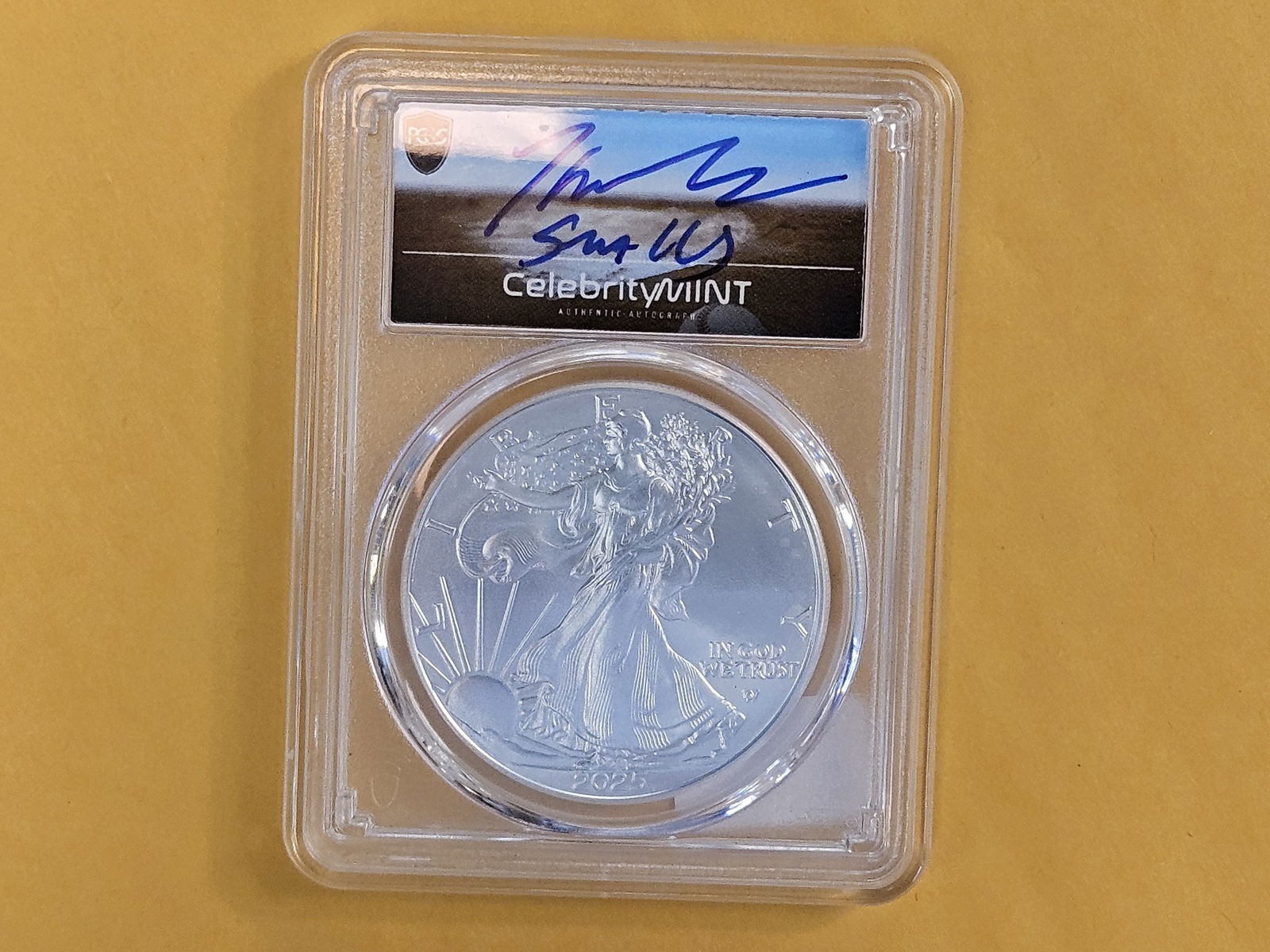 PCGS 2025 GEM BU American Silver Eagle - 2