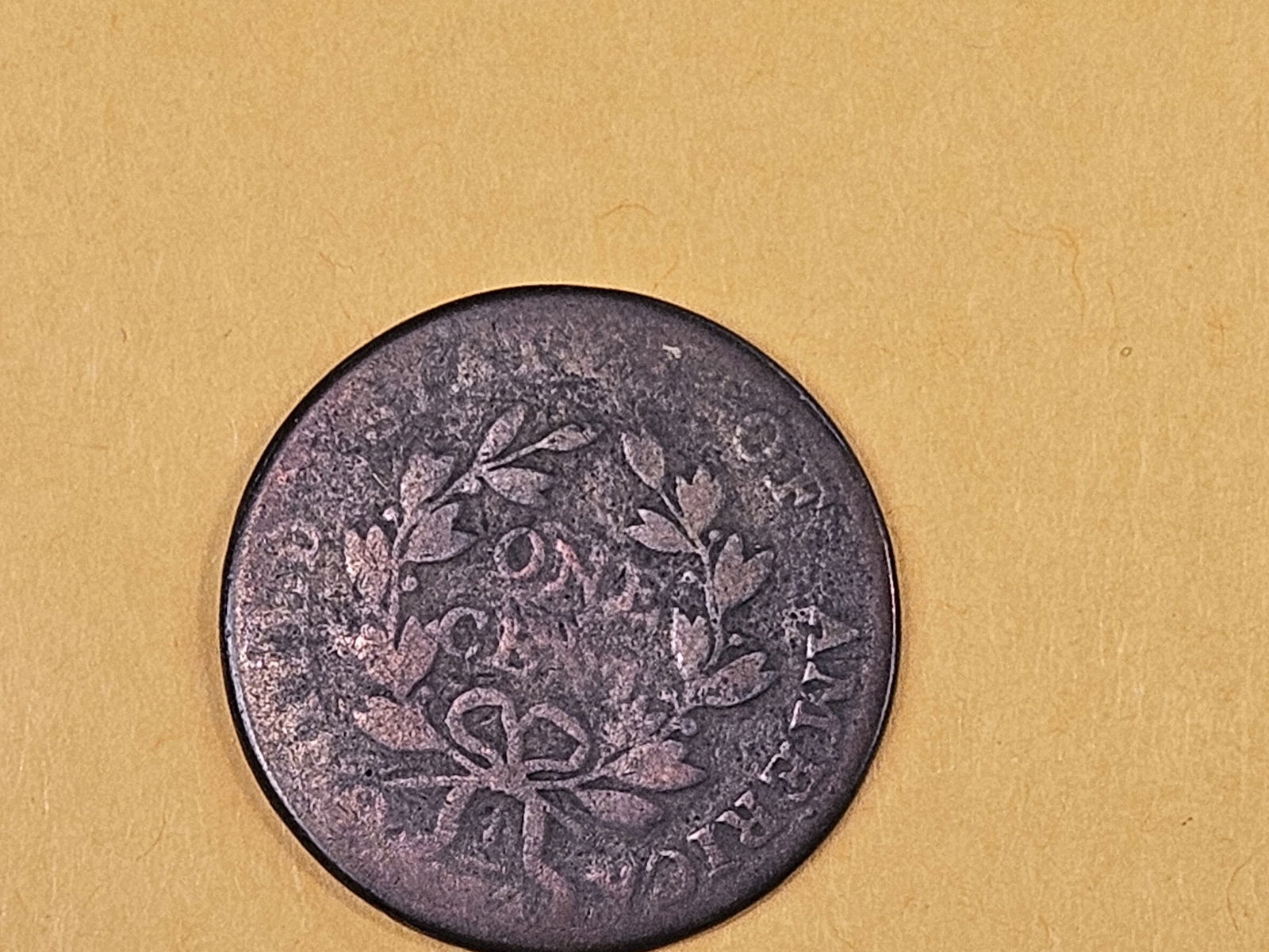 1801 Draped Bust Large Cent - 6