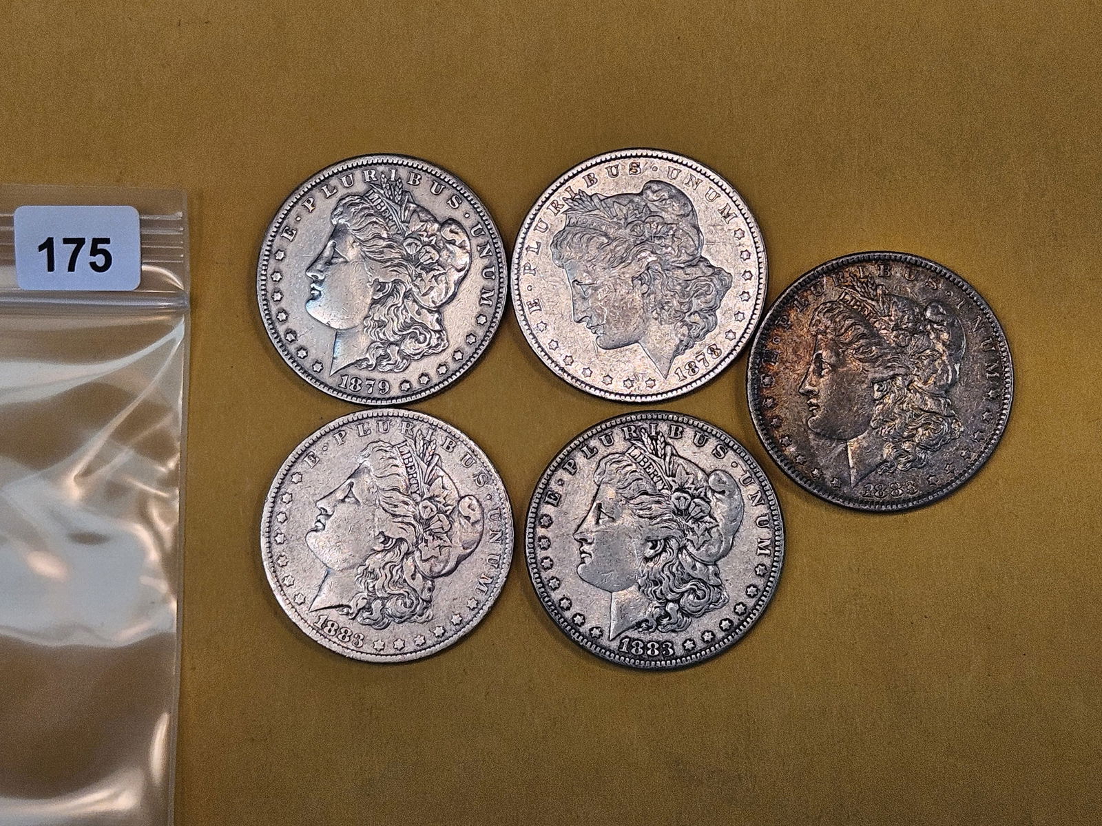 Five mixed Morgan Silver Dollars (1 of 2)