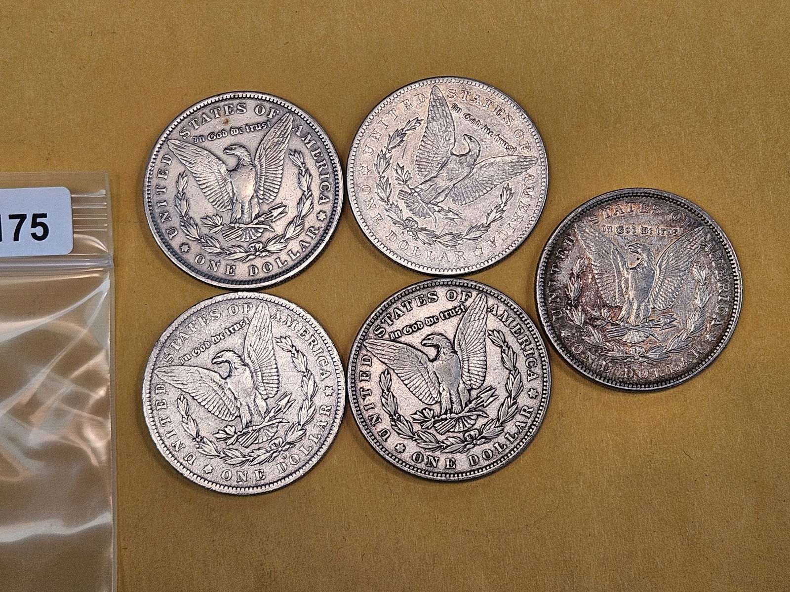Five mixed Morgan Silver Dollars - 2