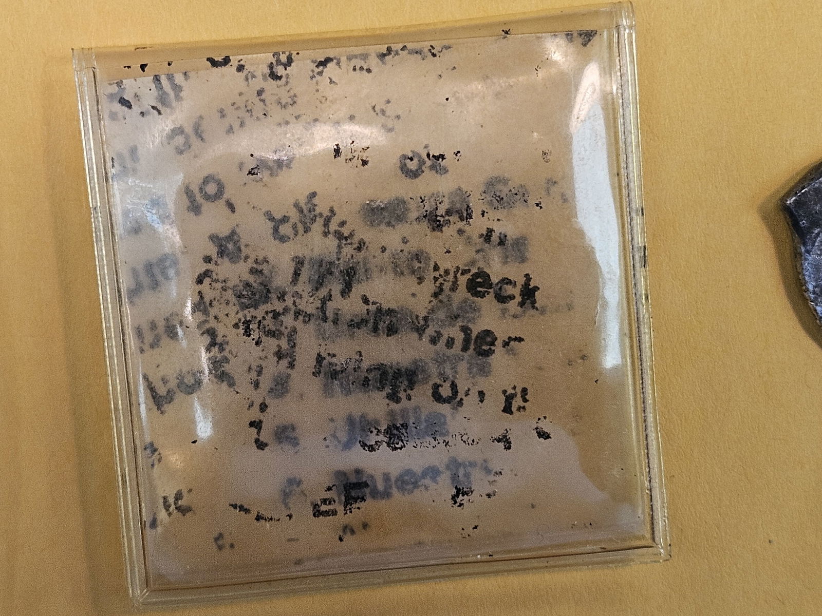 ShipWreck Silver Cob - 3