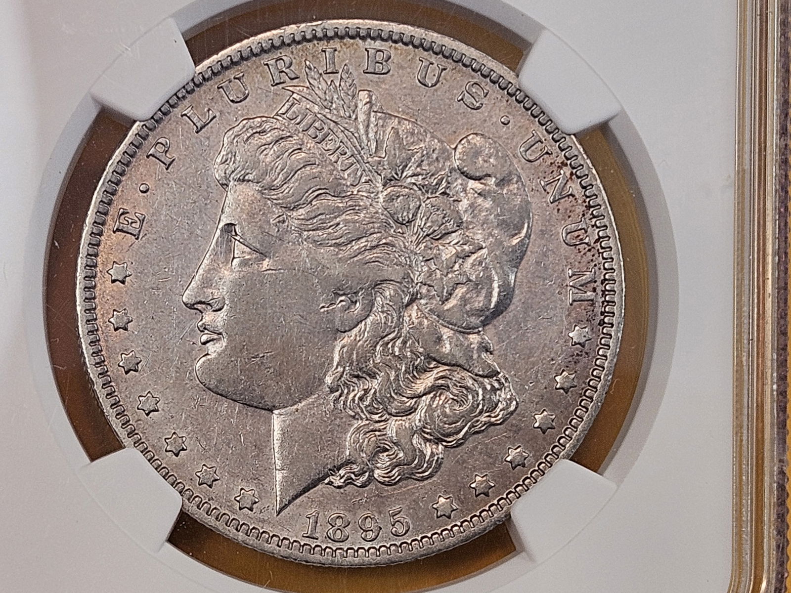 ** KEY DATE ** NGC 1895-O Morgan Dollar in Extra Fine - details - 3