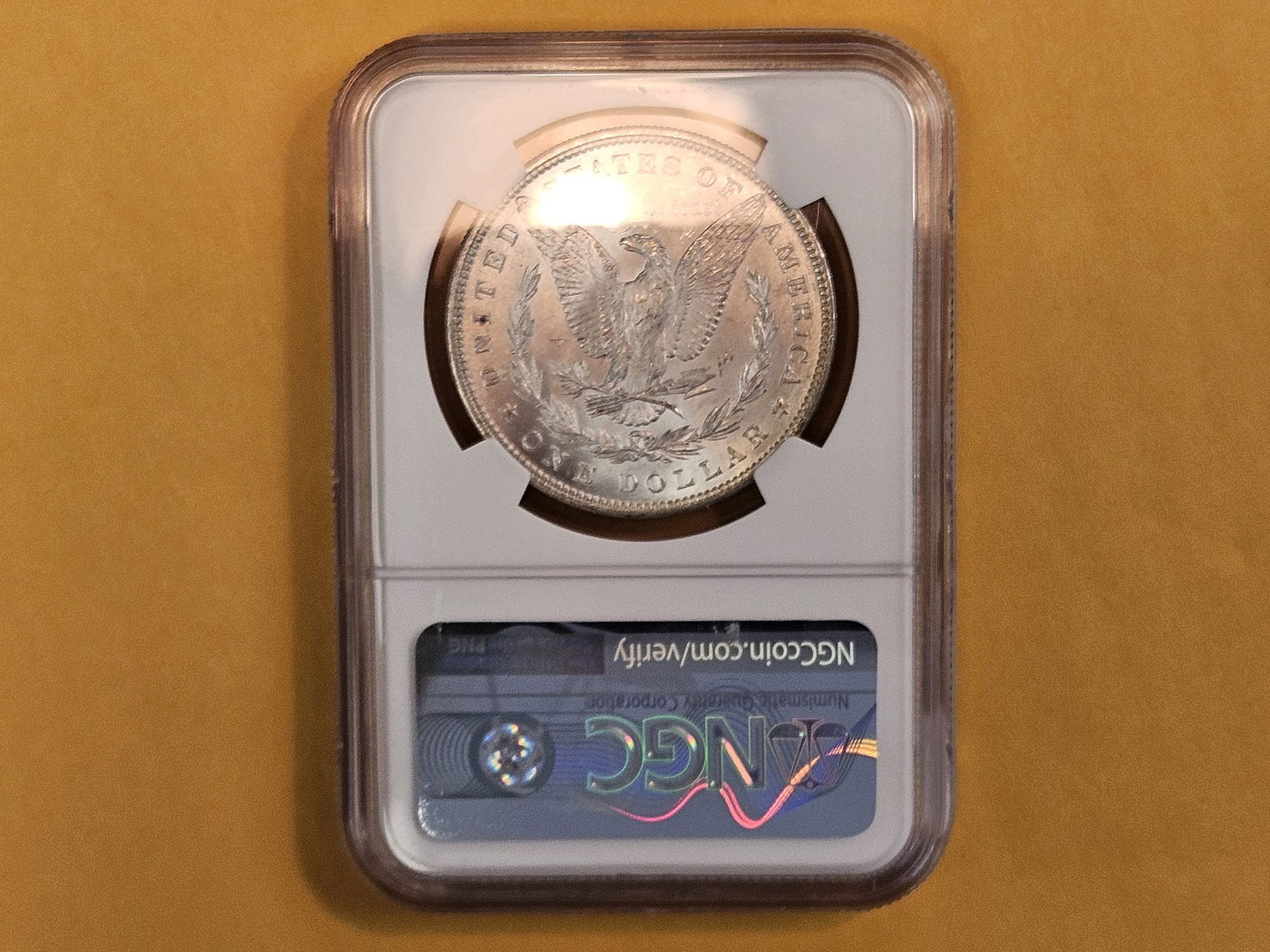 NGC 1885 Morgan Dollar in Mint State 63 - 3