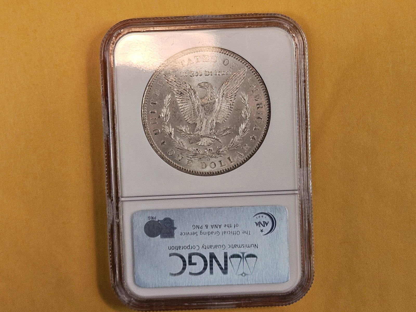 NGC 1902-O Morgan Dollar in Brilliant Uncirculated - 3