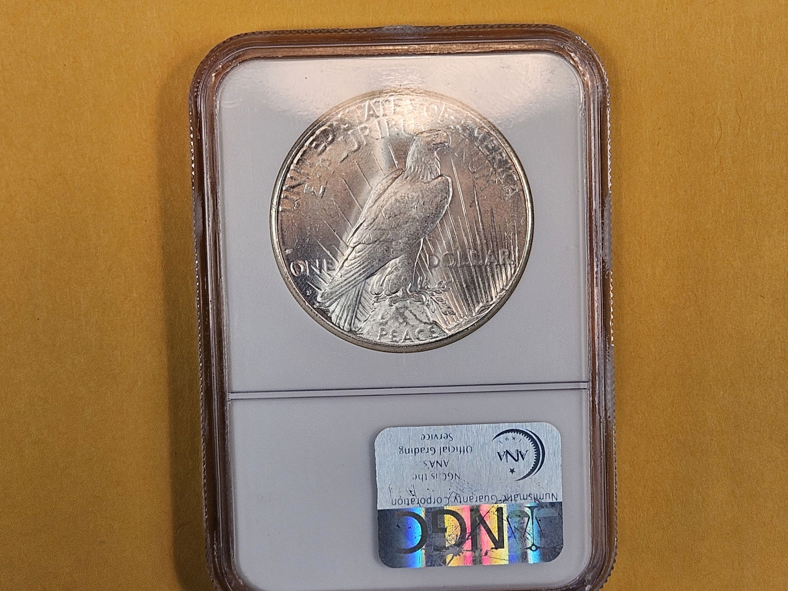 NGC 1922 Peace Silver Dollar in Mint State 61 - 3
