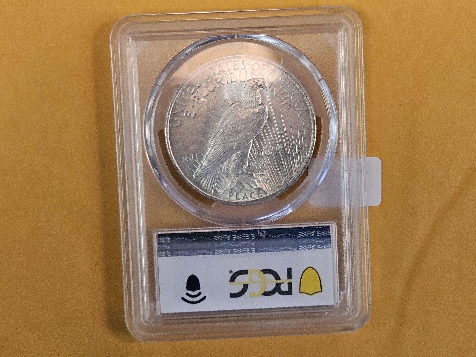 PCGS 1922 Peace Silver Dollar in Mint State 61 - 3