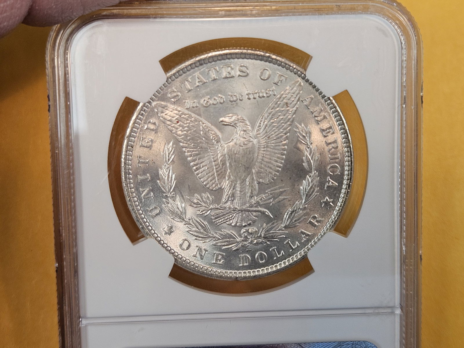 NGC 1889 Morgan Dollar in Mint State 64 - 4