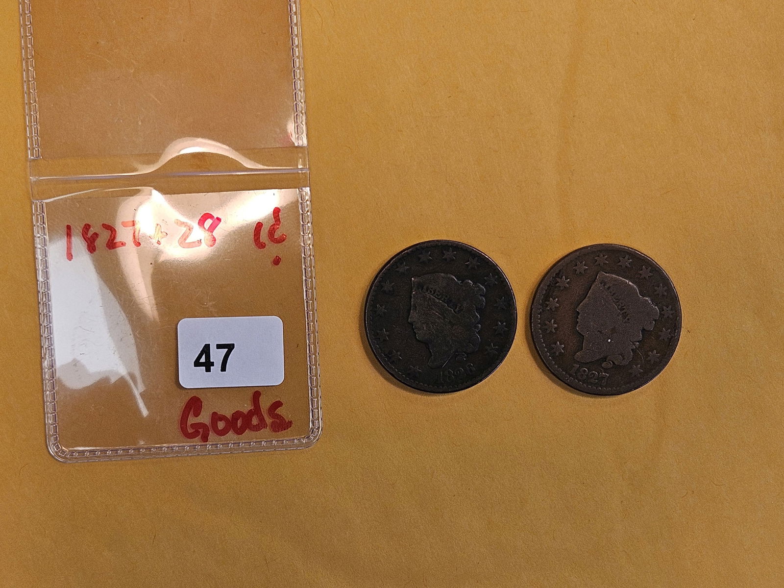 1827 and 1828 Coronet Head Large Cents - 2
