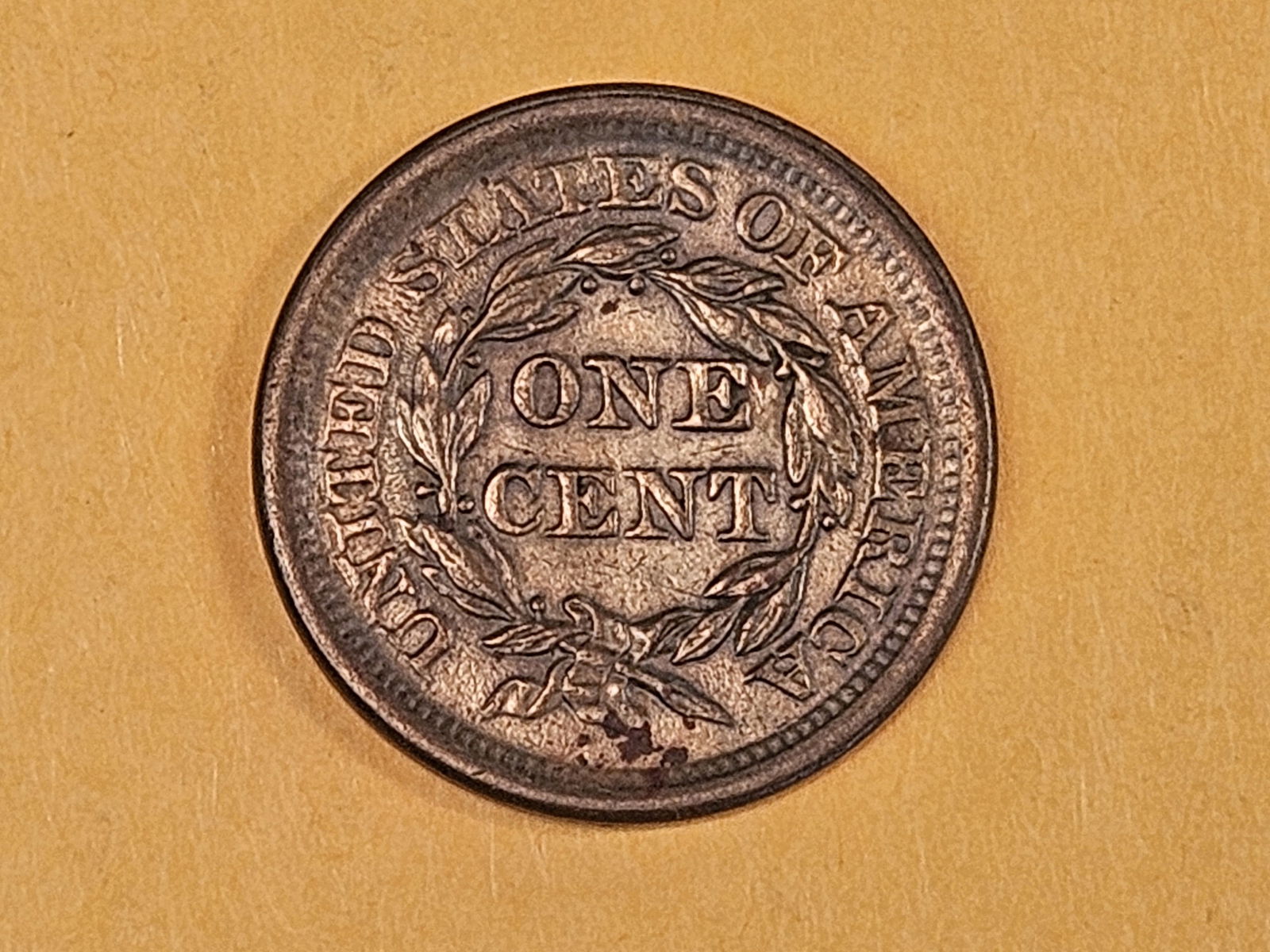 1856 Braided Hair Large Cent - 5