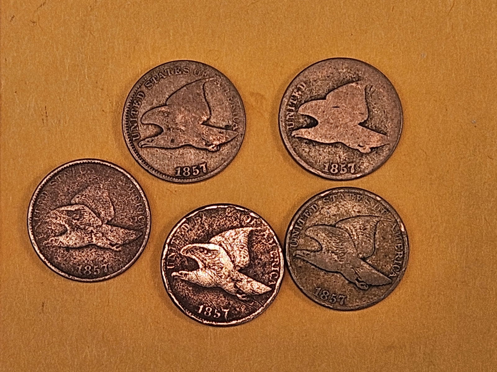 Five 1857 Flying Eagle Cents: Circulated 