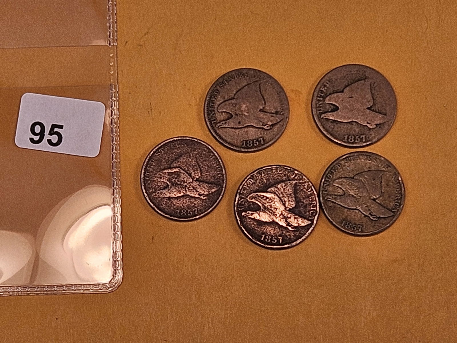 Five 1857 Flying Eagle Cents - 2
