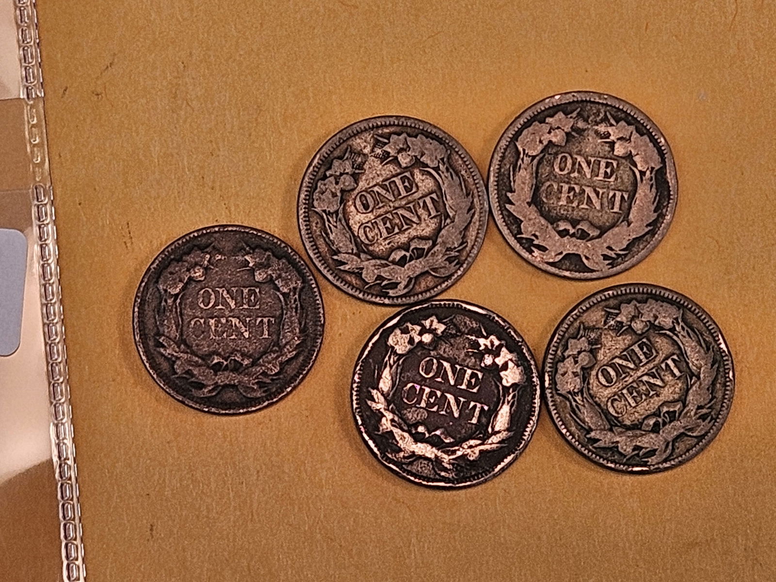 Five 1857 Flying Eagle Cents - 3