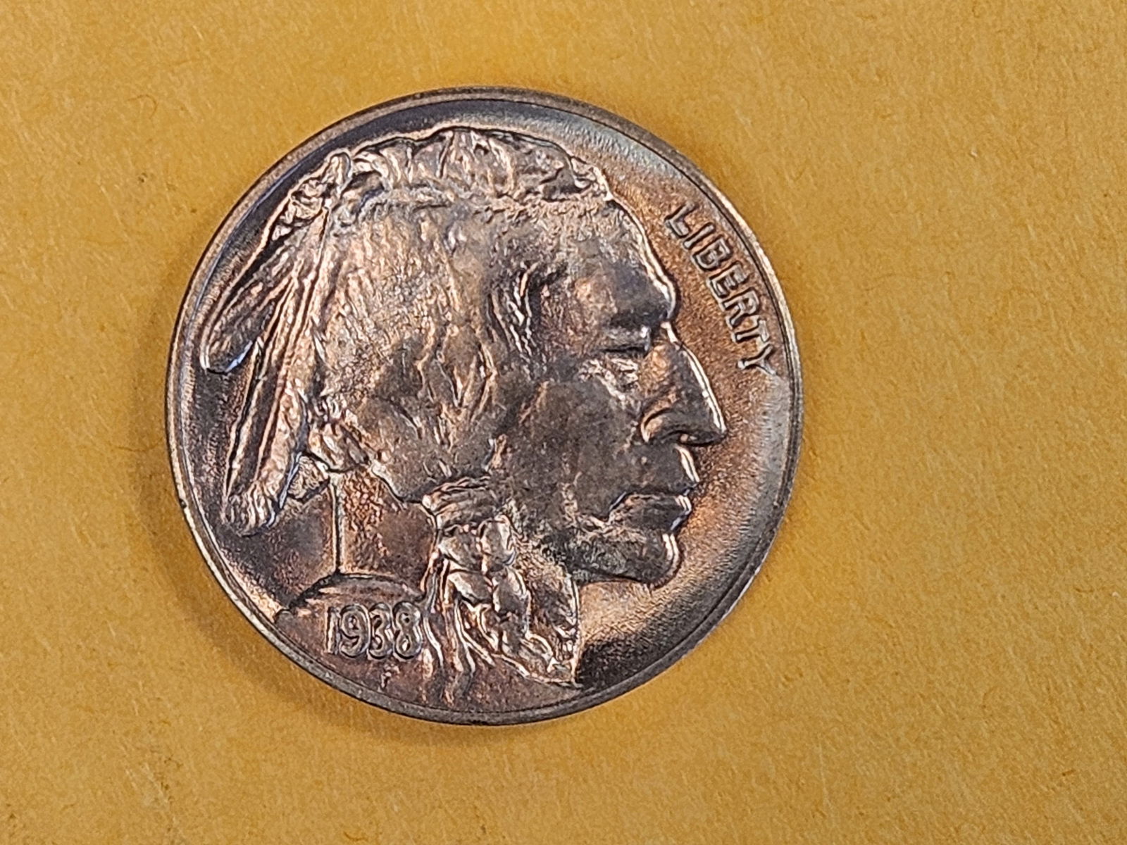 GEM Brilliant Uncirculated plus 1938-D Buffalo Nickel - 3