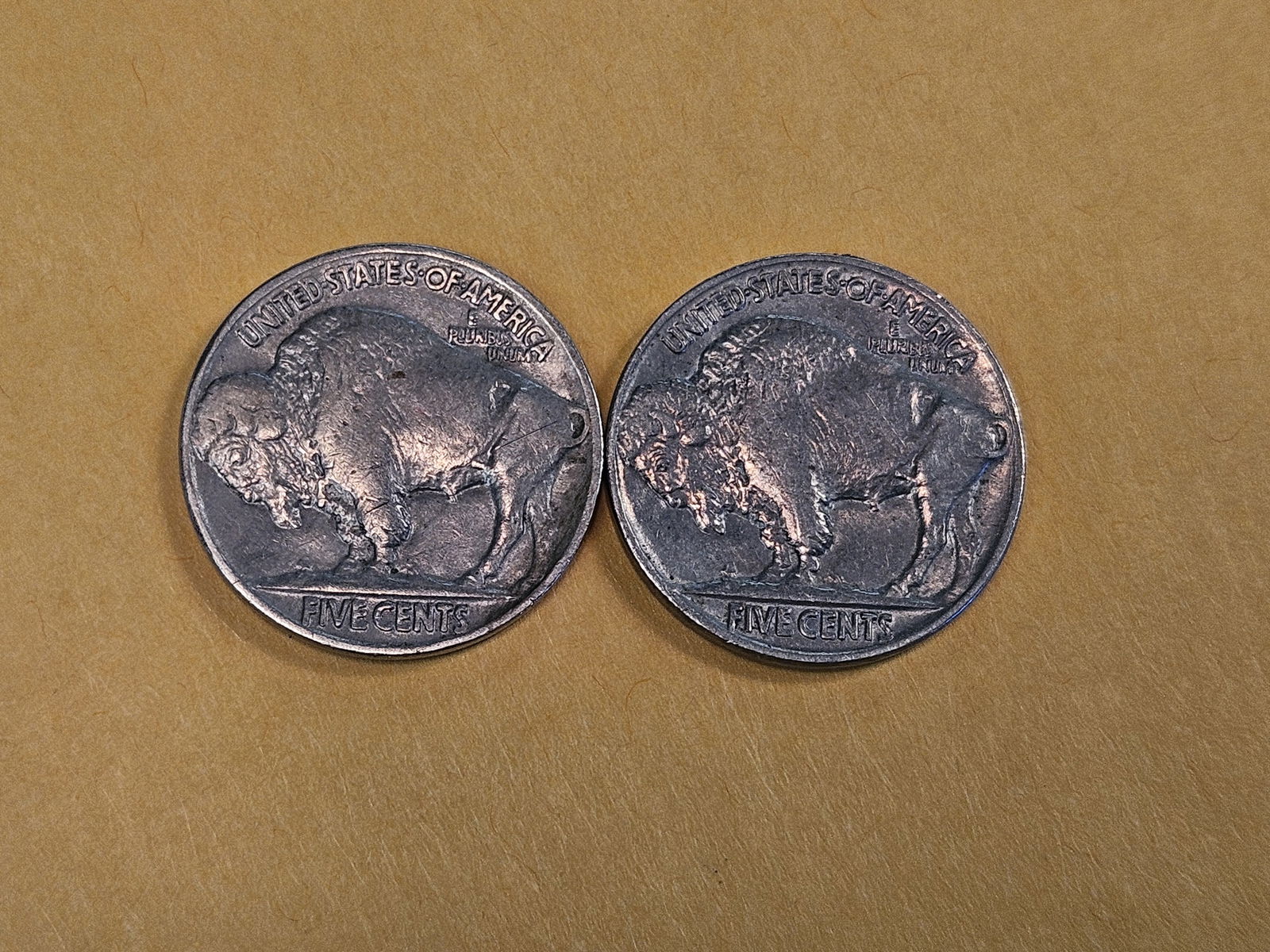 Two Brilliant Uncirculated Buffalo Nickels - 5