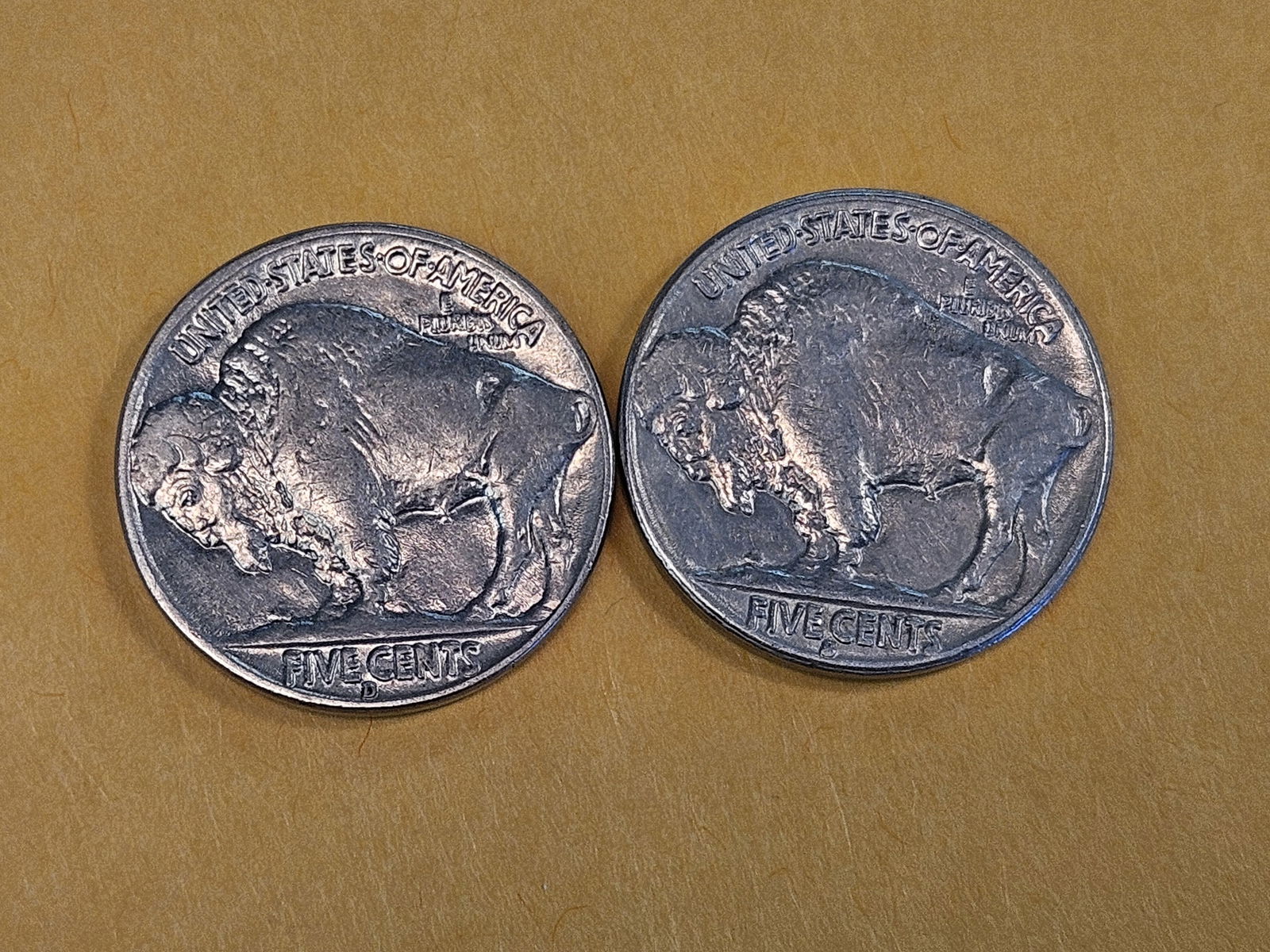 Two nice Brilliant Uncirculated Buffalo Nickels - 4