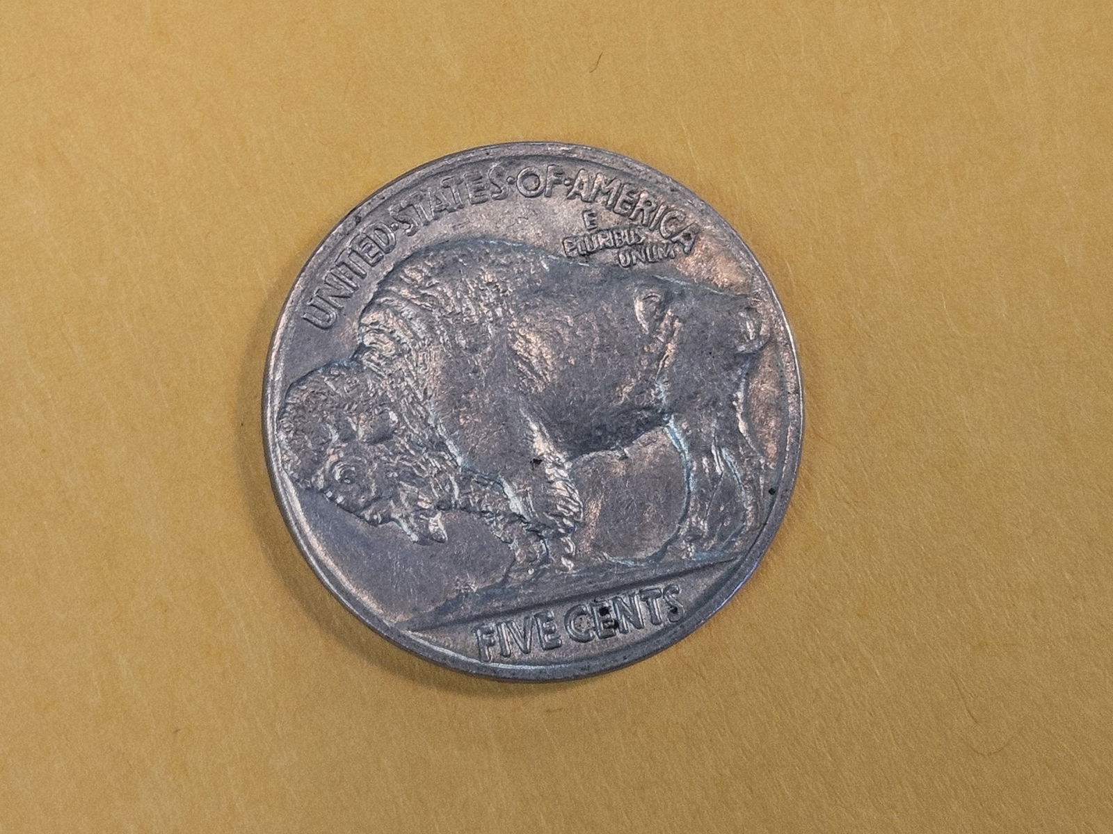 Very Choice Brilliant Uncirculated 1923 Buffalo Nickel - 5