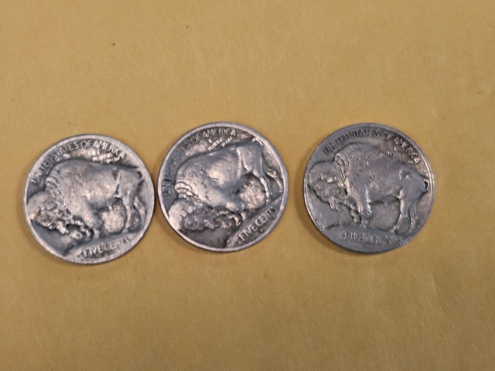 Three First Year Issue Buffalo Nickels - 3
