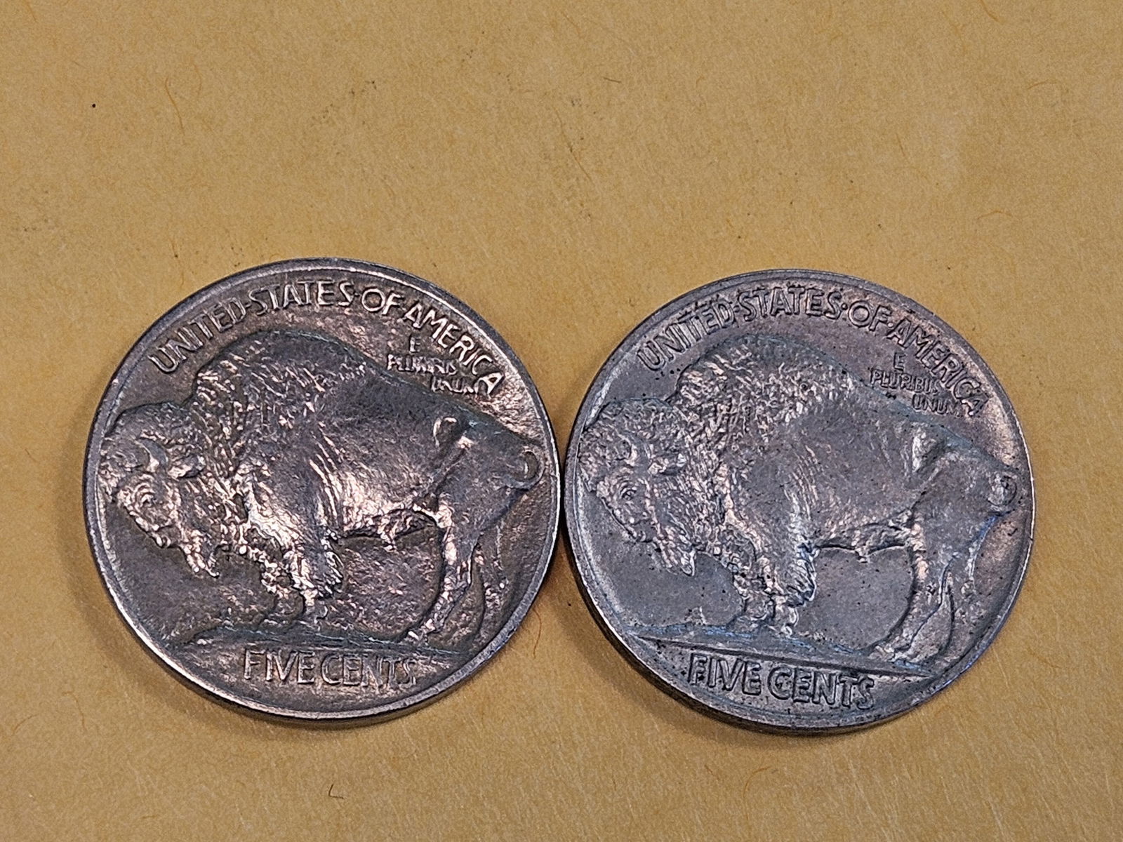Two Uncirculated first year issue Buffalo nickels - 5