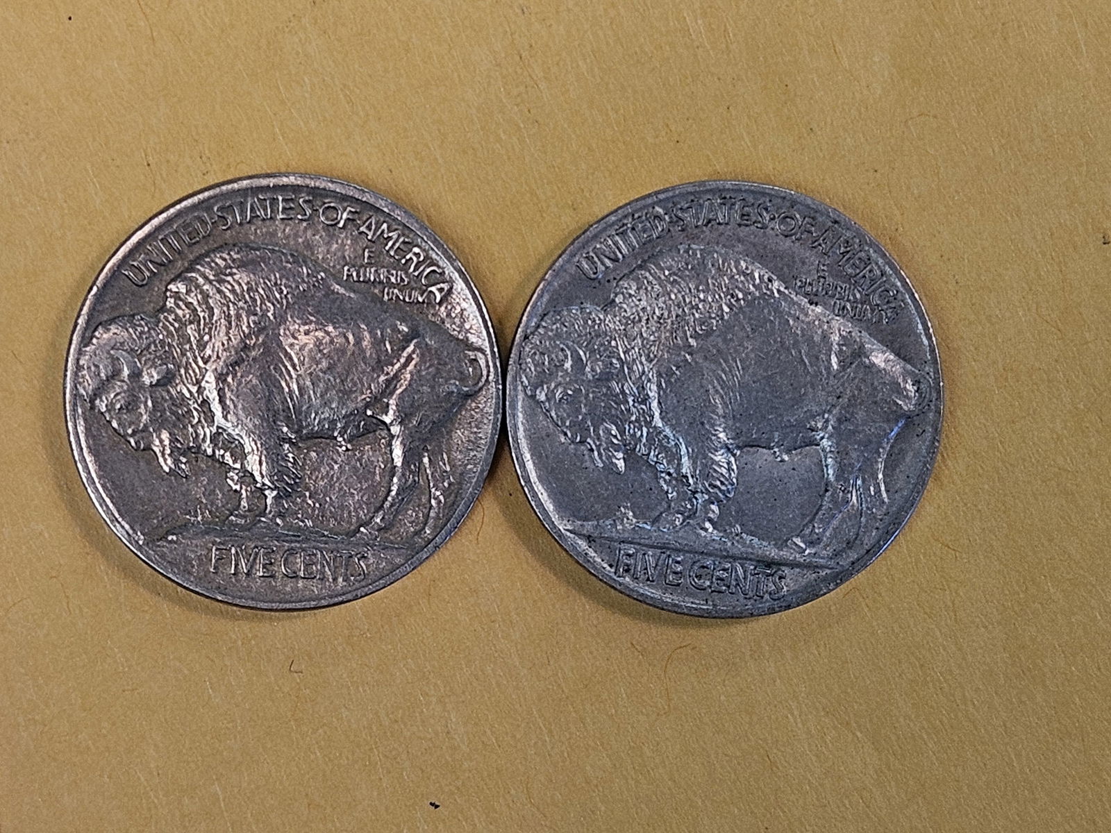 Two Uncirculated first year issue Buffalo nickels - 6
