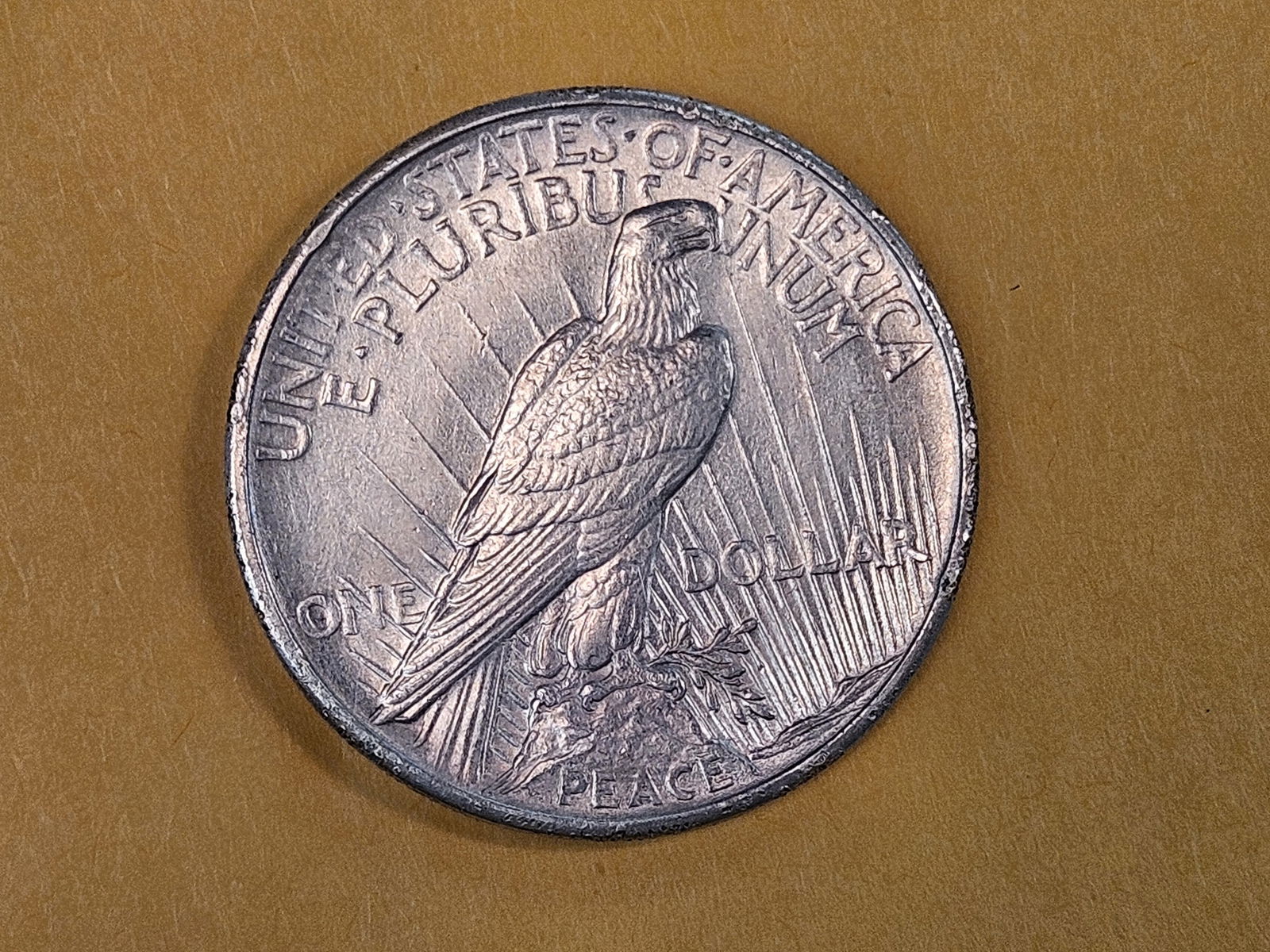 ** KEY DATE ** 1921 Peace silver Dollar in Brilliant About Uncirculated plus - 5