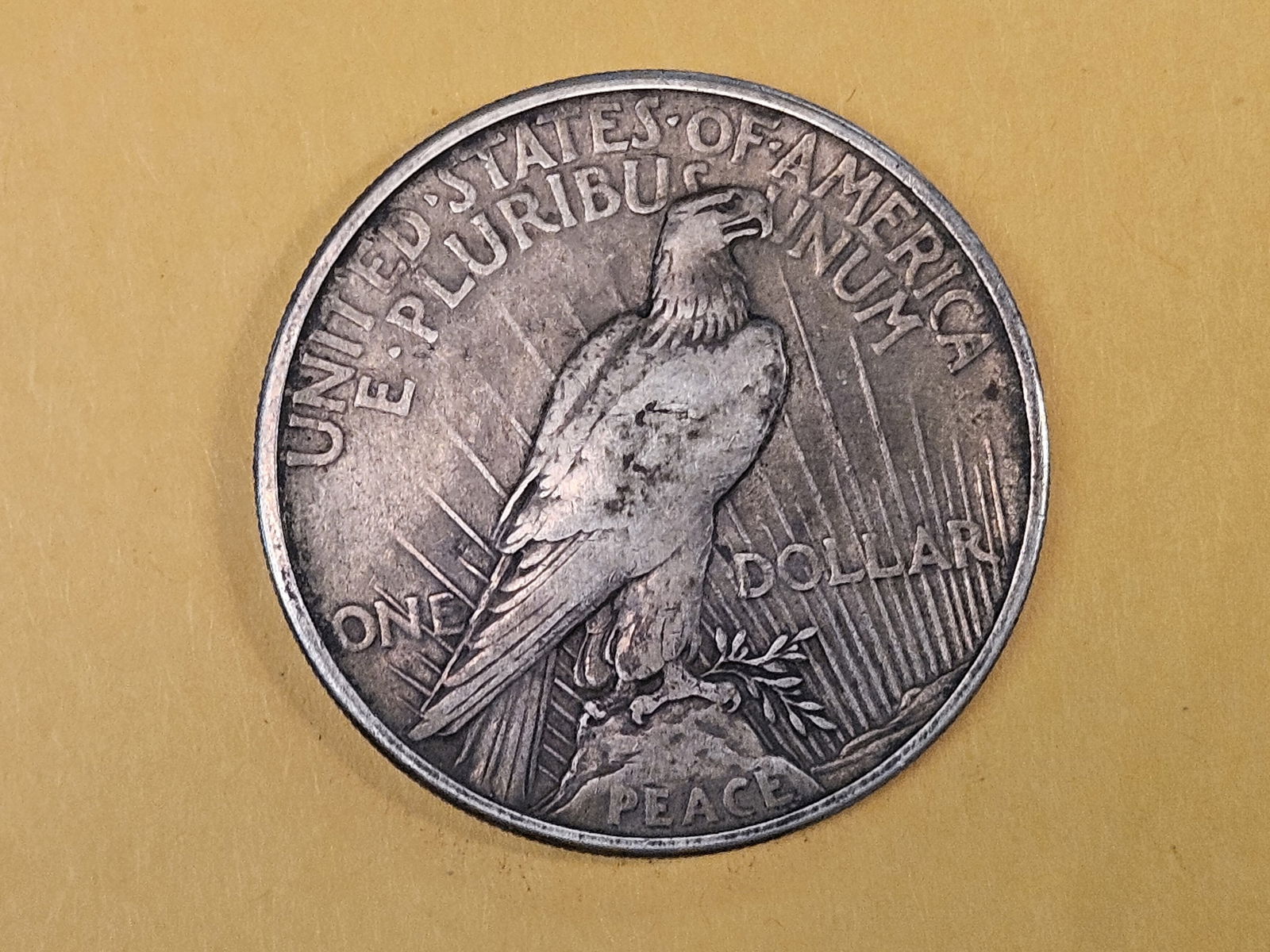 ** KEY DATE ** 1921 Peace Silver Dollar in Extra fine plus - 4