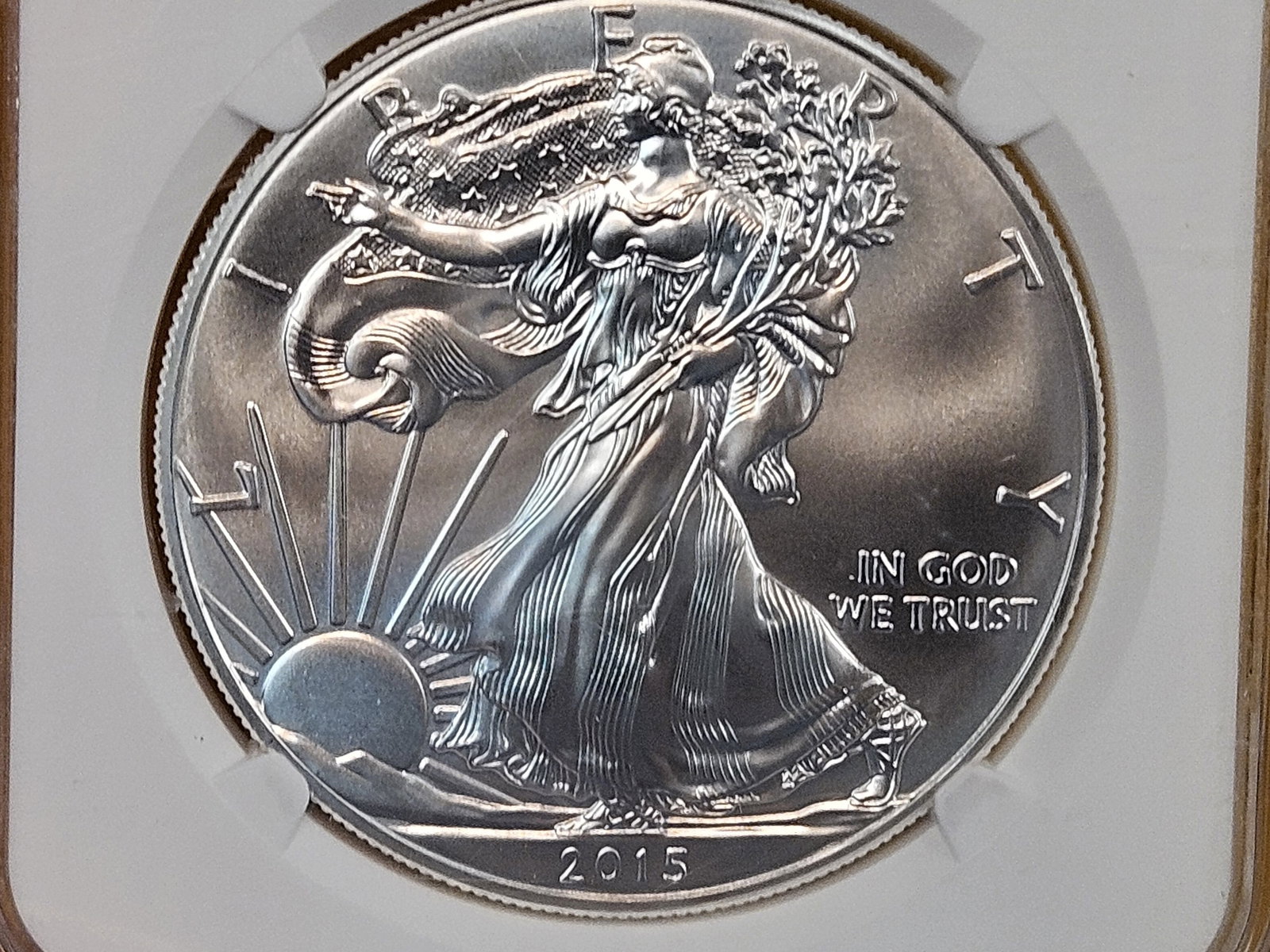 PERFECT! NGC 2015 American Silver Eagle in Mint State 70: Perfect Grade