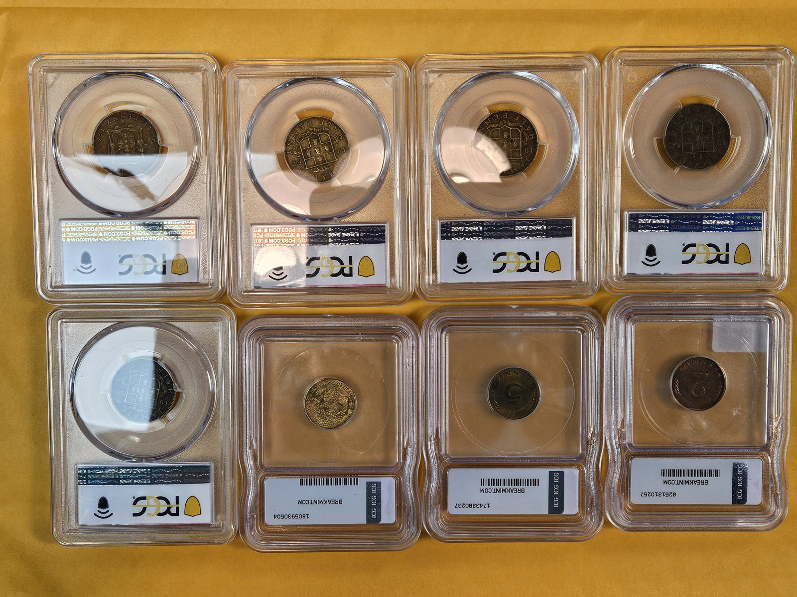 Sixteen Graded, Mixed, World Coins - 6