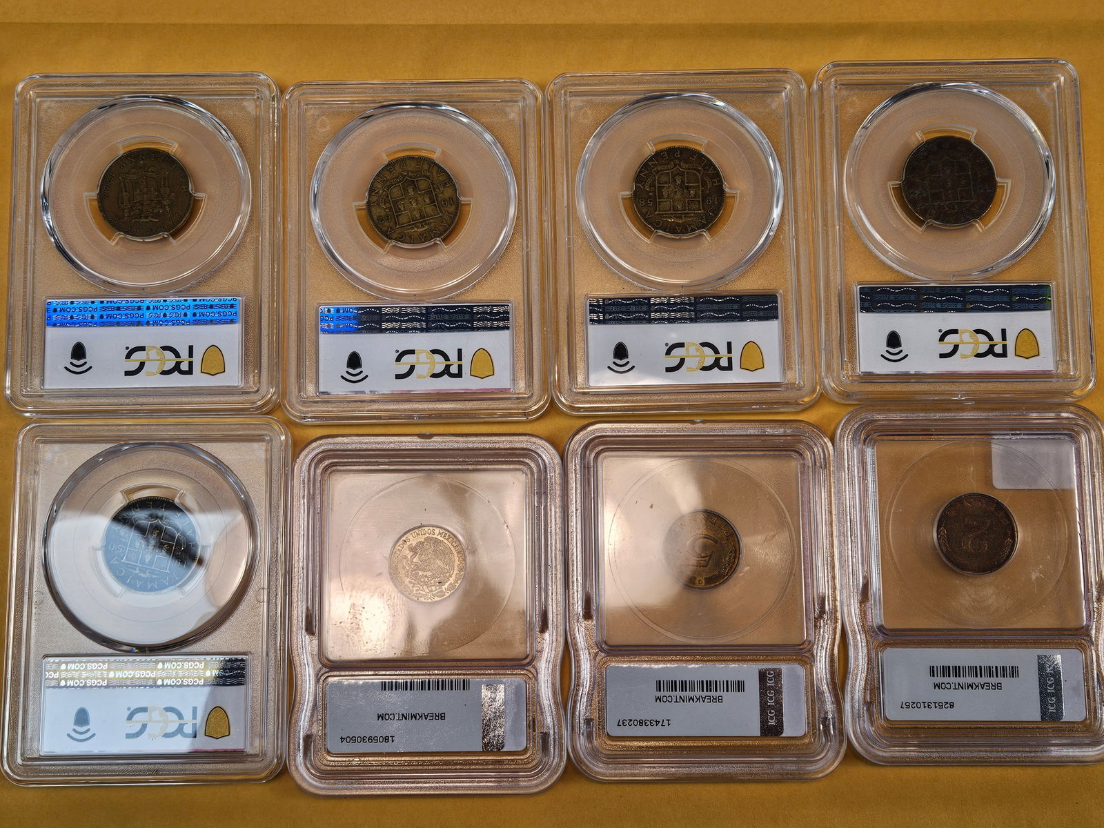 Sixteen Graded, Mixed, World Coins - 7